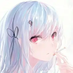 用户国漫支持者的头像